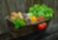 Home Garden by GreenPeace.jpg