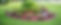 Landscape Design by GreenPeace - Garden Bed.jpg