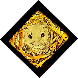 Mouse LOW RES.jpg