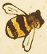 Bee detail in stained glass window at Ss Leonard and Fergus church, Dundee, Scotland