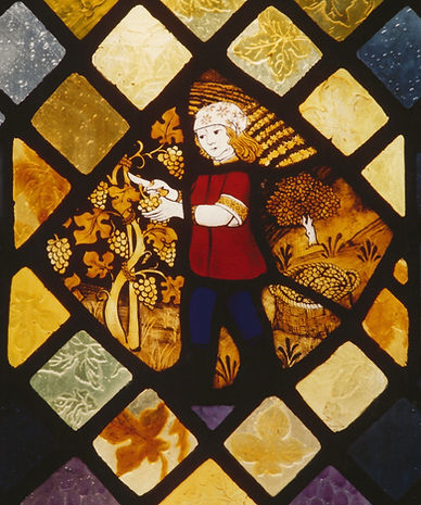 Harvesting grapes detail in Eucharist stained glass window at Ss Leonard and Fergus, Dundee, Scotland