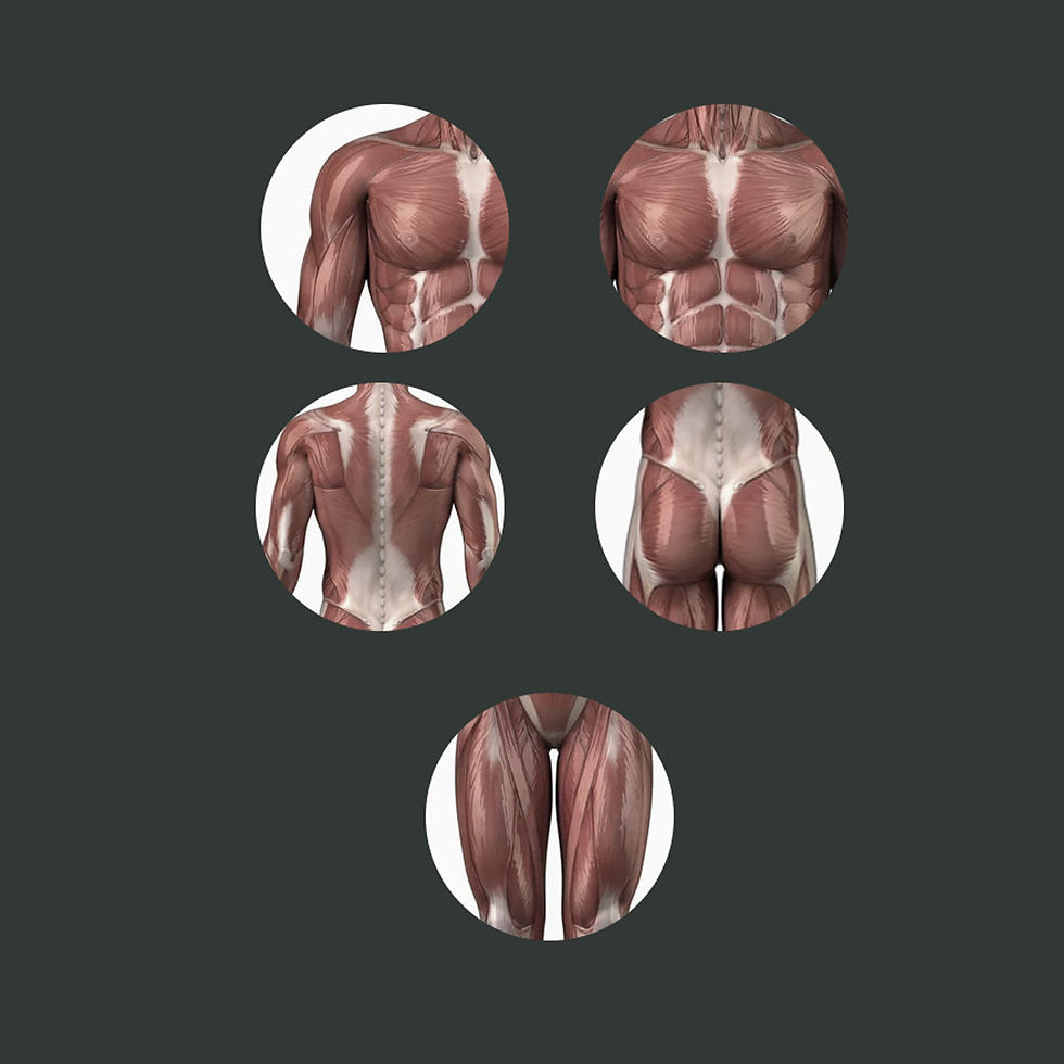 Thumbnail: Mighty Massager Deep Tissue Massage Tool