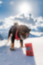 Full Res - Beef Bar Approach (1)-2.jpg