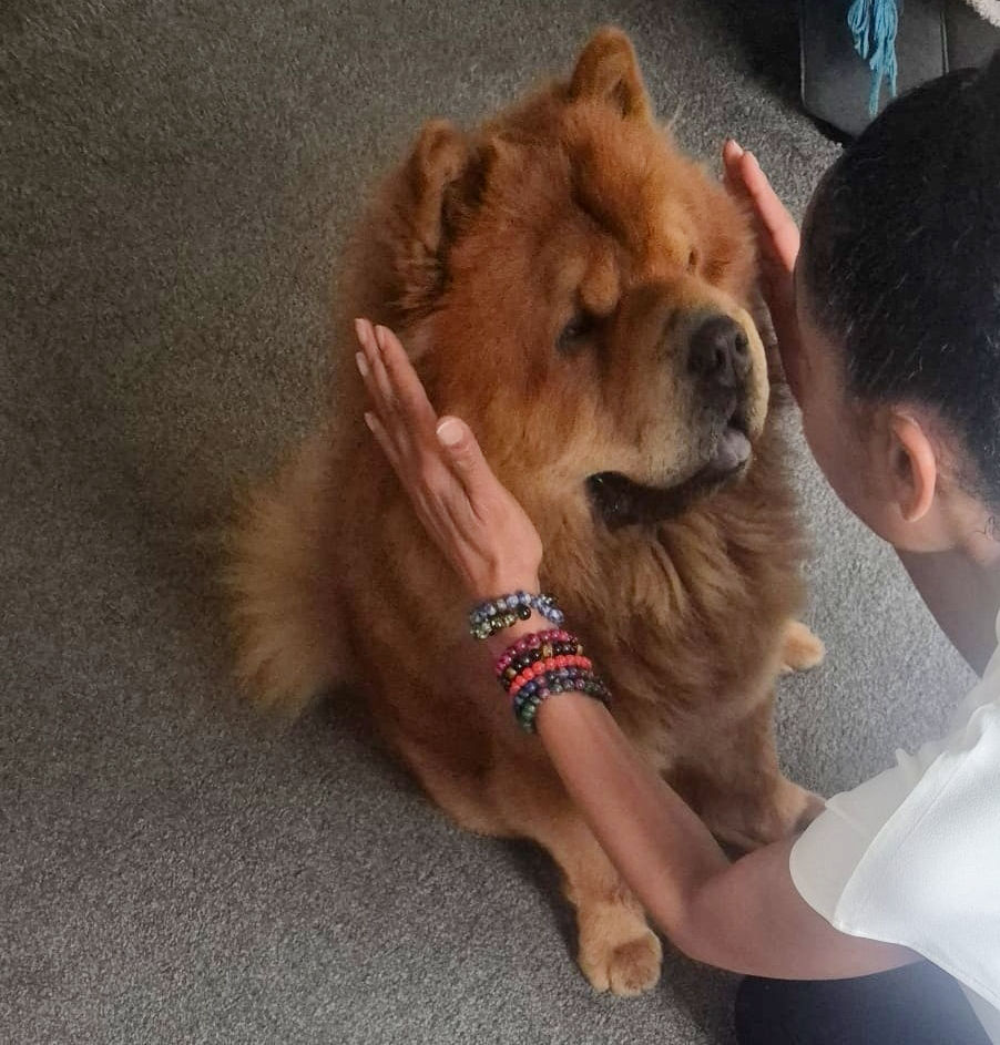 melanie-the-practitioner-holding-hands-next-to-dogs-face-with-dogs-face-in-the-middle-of-her-hands