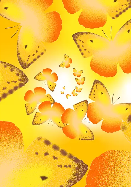 Butterfly rainbow_4x.webp