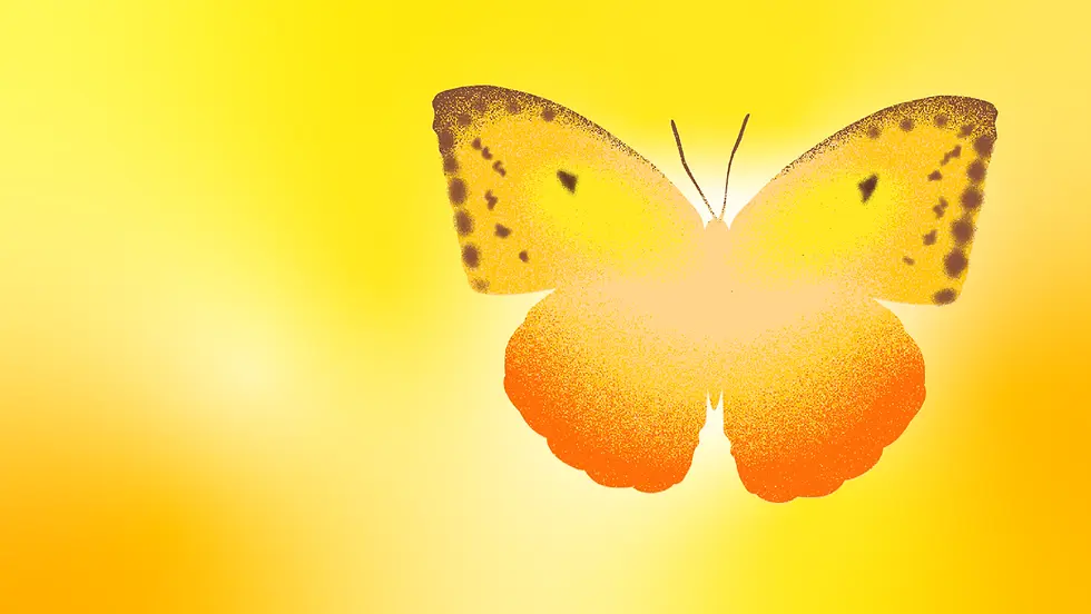 ase-aura-butterfly-logo-with-bright-sunlight-in-the-background