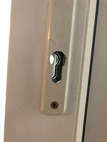 Euro Profile Cylinder removed