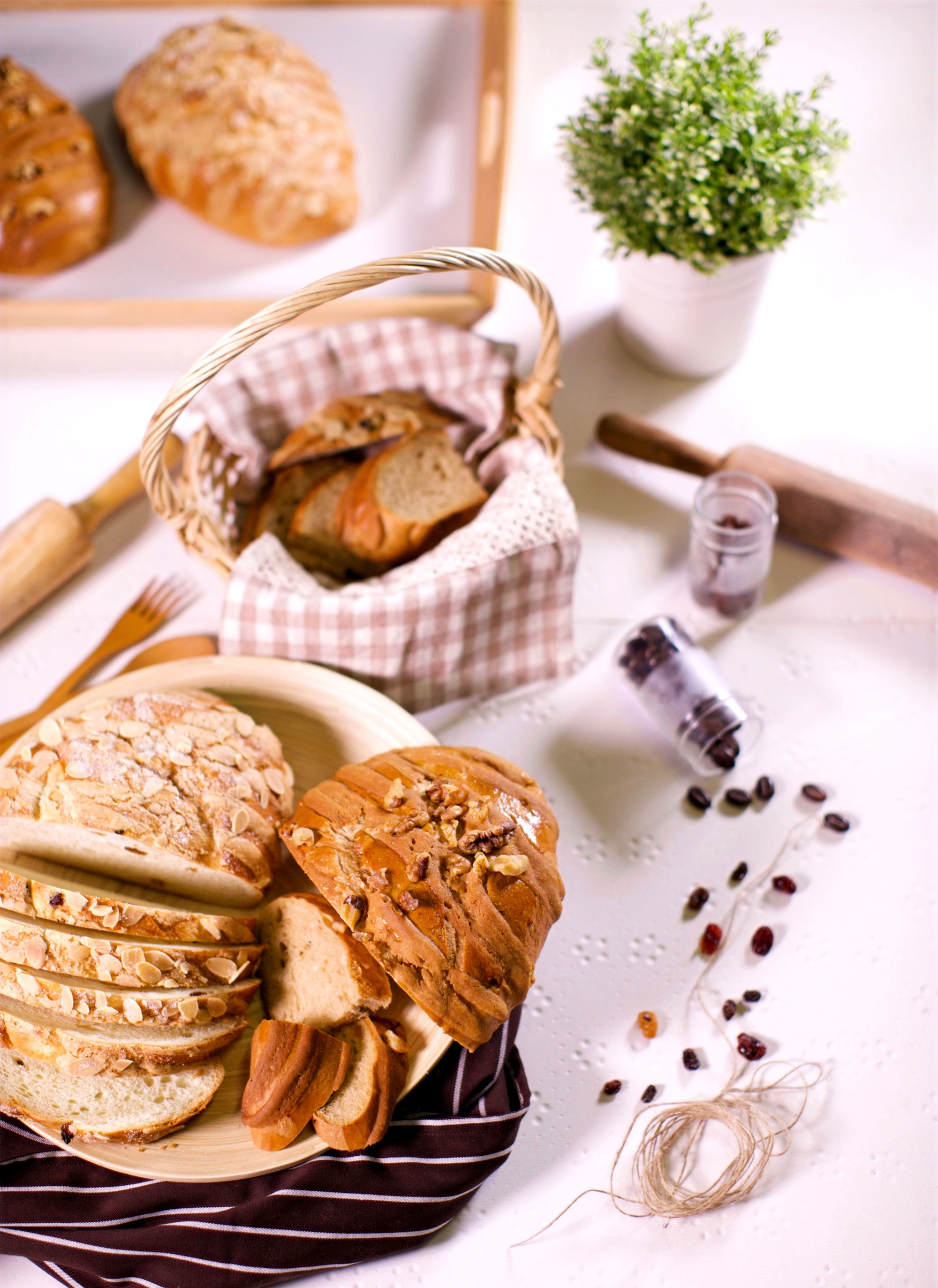 COFFEE WALNUT DUO 咖啡核桃二人组