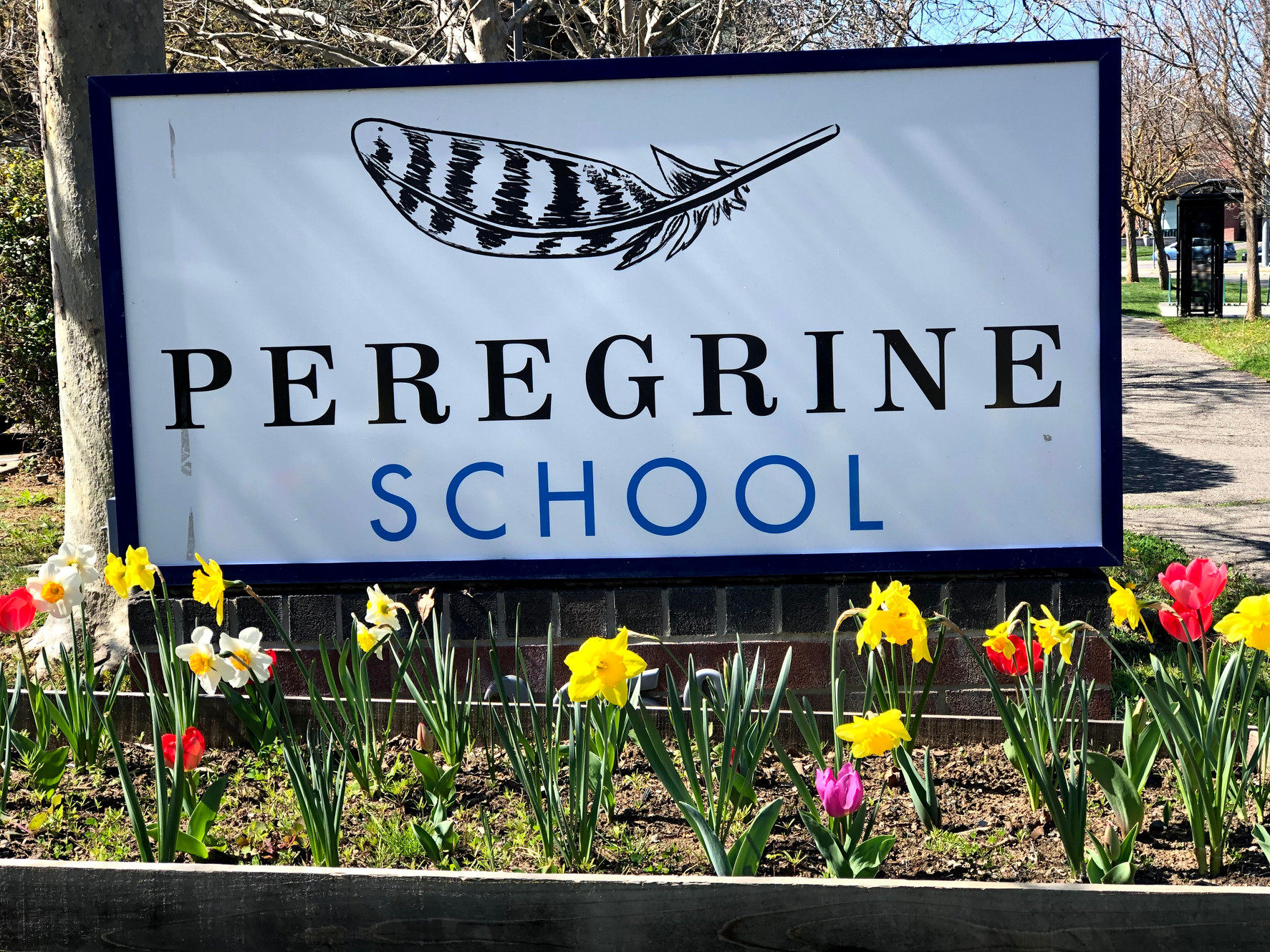 The Peregrine Project logo