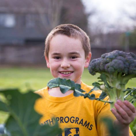 Peregrine Students Create Campus Wildlife Area