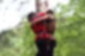 EB42727E-8AD8-4668-BC2B-EA975D3D167A.jpeg