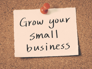 Using an Online Business Manager to grow your small business