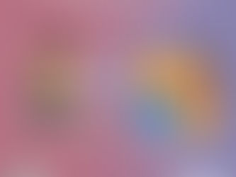 🏫 „Rucsacul cu sens” a ajuns la copiii din Școala Gimnazială Orțișoara din județul Timiș!