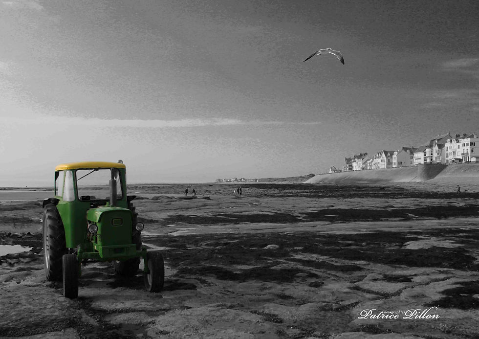 Tracteur à Ambleteuse, Pas de Calais