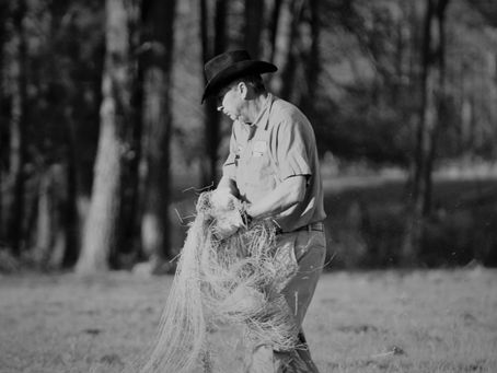 Lessons Learned from a Farmer
