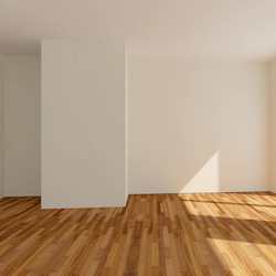 Appartement vide sol parquet mur blanc