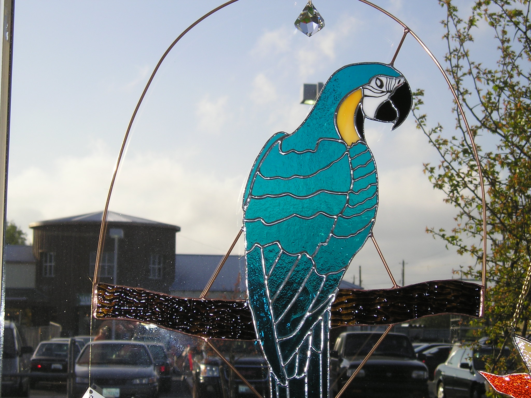 Closeup of Blue Macaw