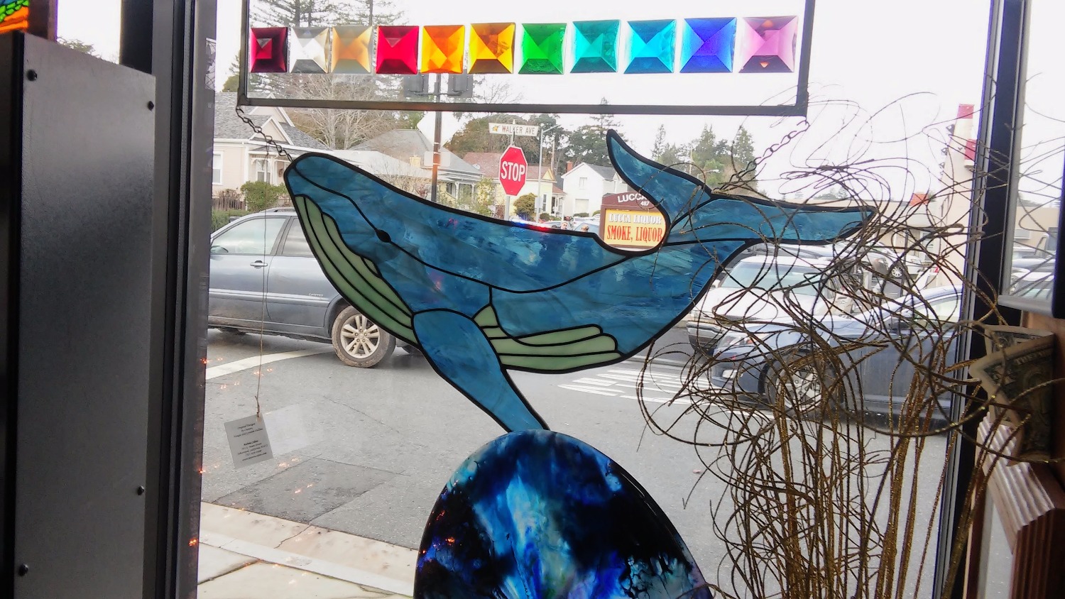 Whale