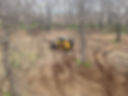 received_385260540213031.jpeg