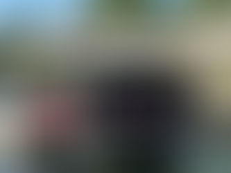 DIY vs. Professional Installation of Boat Lift Canopy Covers