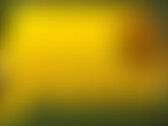 Choosing the Right Portable Water Tank