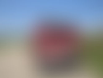 Experience Improved Fireman Safety With a Fire Hosebed Cover