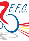 logo%20EFC%202013.jpg