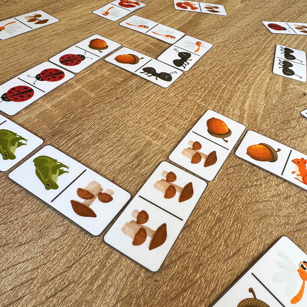 Thumbnail: Interactive learning with the Forest Matching Game and Forest Domino, perfect for early childhood education and homeschooling