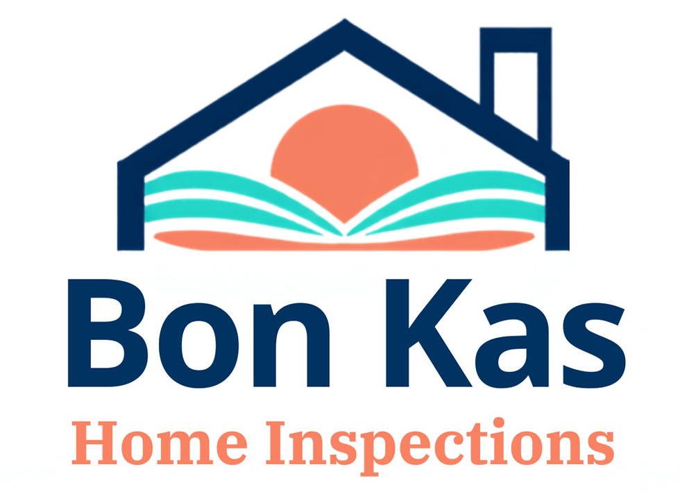 Warm Island-Inspired Logo for Bon Kas Inspections_edited.jpg