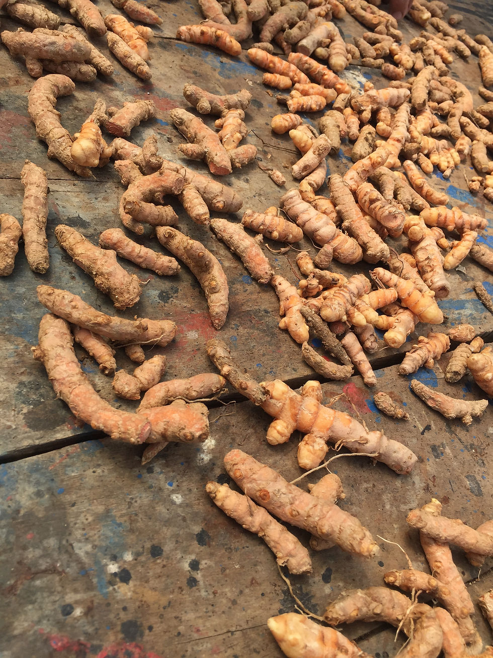 Thumbnail: Culinary Rural Experience (1 Day Tour)| Foodie Tours