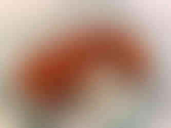 Pejibaye Churros Costa Rica