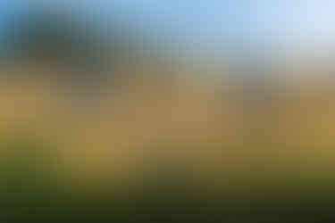 San Jose City Tour by Foodie Tours Costa Rica