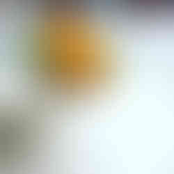 Pejibaye Chips Costa Rica