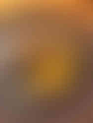 Pejibaye puree Costa Rica