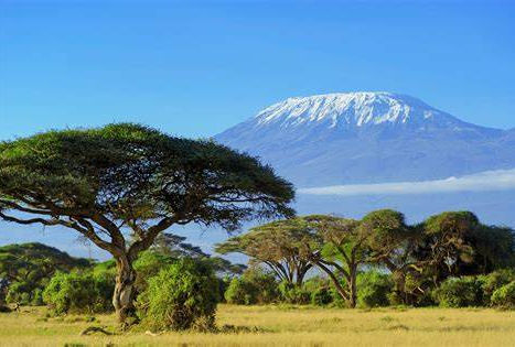 kilimanjaro.jpg