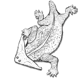 RPG online game token representing a Sirinth demon from teMalazan books of the fallen. Jacob Gamm