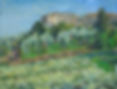 Stefano's Olive Orchard