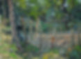 Di Mario Giardino, Torri, near Siena