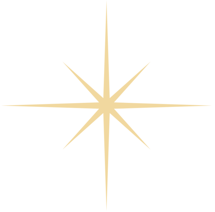 Sparkle Icon - source_edited.png
