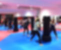 Niagara Taekwondo kickboxing
