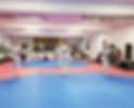 adult class niagara taekwondo_edited.jpg