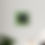 Thumbnail: TM The Guerrilla Bear- Acrylic Wall Art Panel