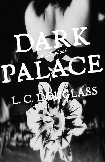 LC Douglass Dark Palace poems