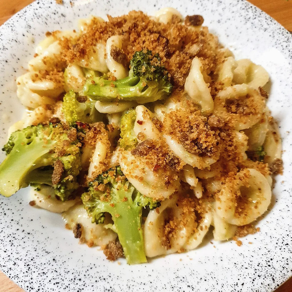 a plate of freshly made orecchiette with broccoli