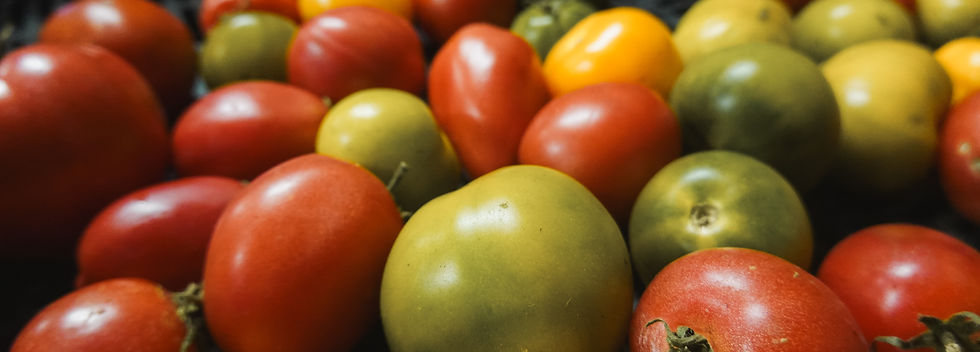 SPG ferme arc en ciel