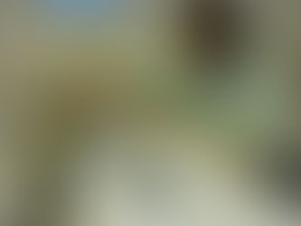 10月の活動いろいろ🕸🎃👻