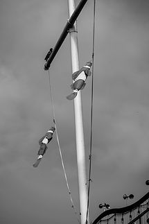 DSCF5167.jpg