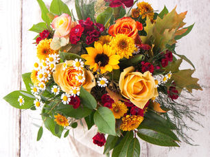 7 Enchanting Flowers of Morocco: A Floral Journey