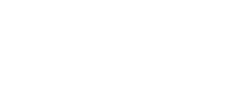 Vyvyd Logo White.png
