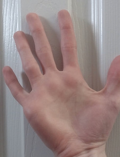 Palm.jpg